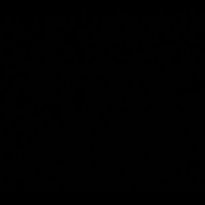 Meet your Posher, Bobby